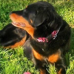 Meet your Posher, Janeese